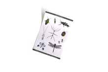 Cargar imagen en el visor de la galería, Planilla de Stickers