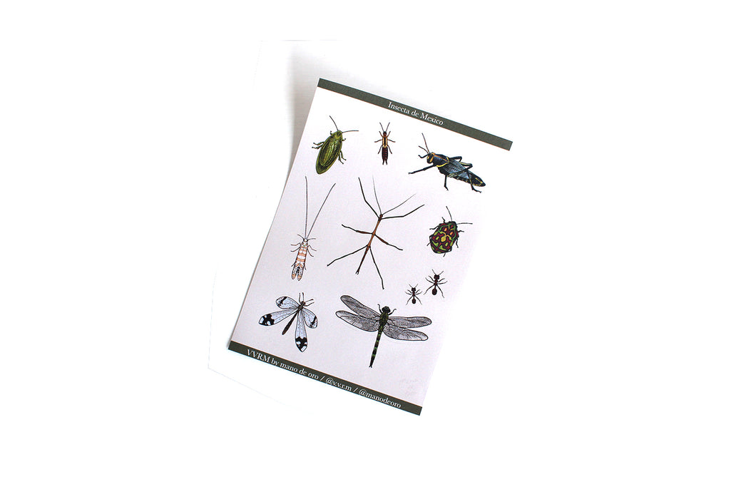 Planilla de Stickers